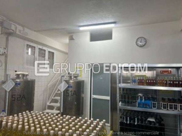 Foto Laboratori per arti e mestieri di 199 mq  in vendita a Palazzolo Acreide - Rif. 4507997