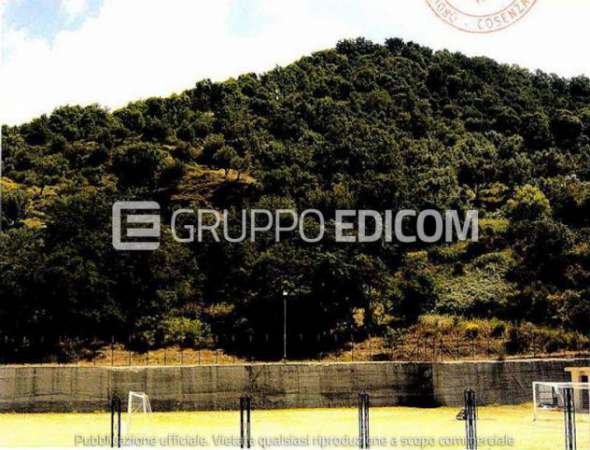 Foto Lotto edificabile di 13107 mq  in vendita a San Pietro in Guarano - Rif. 4506233