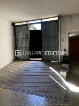 Foto Magazzini e locali di deposito di 238 mq  in vendita a Terni - Rif. 4502802