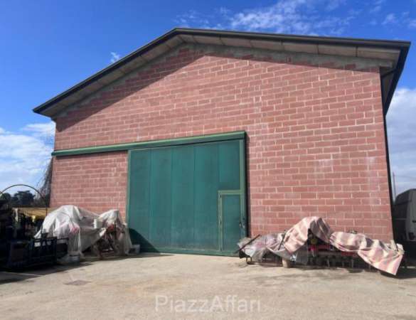Foto Magazzino a Campolongo Maggiore - Rif. CAMP20