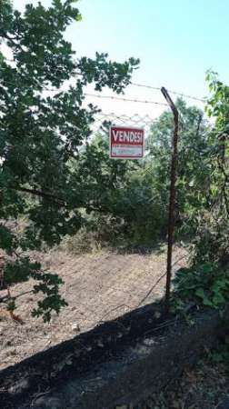 Foto Mascali,Santa Venera,terreno agricolo mq 3476 di fronte al numero civico n.1