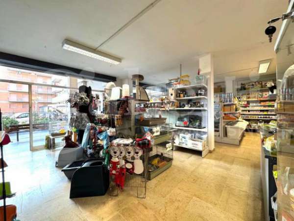 Foto Negozio - Andora . Rif.: Cod. rif 3220085VCG