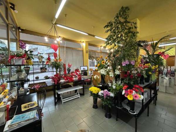 Foto Negozio in vendita a Sovigliana - Vinci 80 mq  Rif: 1312596