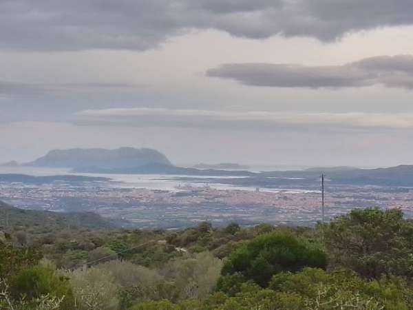Foto Olbia terreno in localit  Muddizza Piana