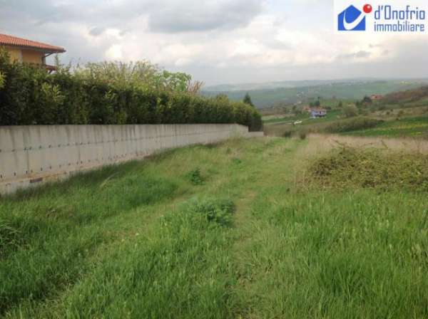Foto ORATINO (Campobasso)VENDESI APPEZZAMENTO DI TERRENO FRONTE STRADA DI MQ 3.300 CONTRADA LAMMERTI