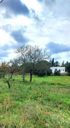 Foto OSTUNI VENDESI TERRENO EDIFICABILE