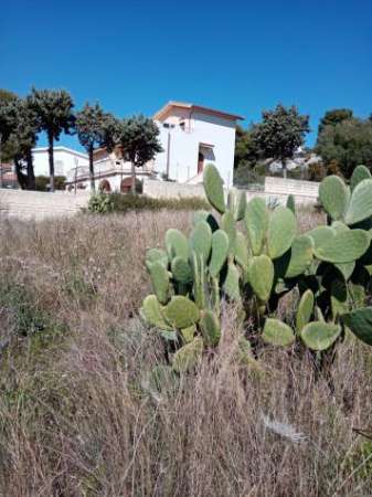 Foto Pascolo in vendita a Siracusa