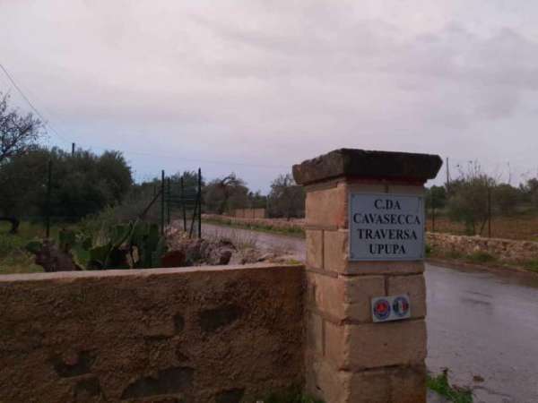 Foto Pascolo in vendita a Siracusa