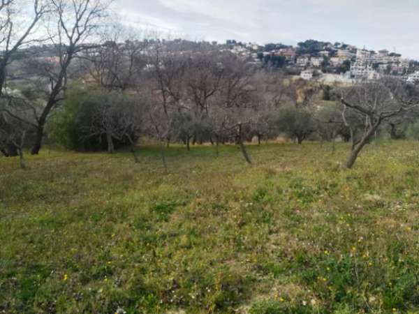 Foto Pescara Terreno Agricolo con 2 Fabbricati