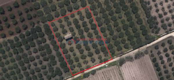 Foto PIETRETAGLIATE � Terreno agricolo di 4.000 mq ca. + magazzino di 30 mq ca. Euro 18 MILA