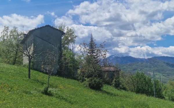 Foto PODERE CON RUSTICI IN SASSO