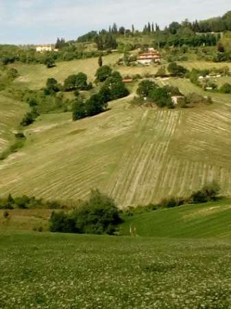 Foto Poggio con Casale e 16 Ettari di Terreno Agricolo