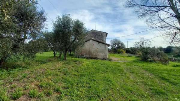 Foto Porzione di casa in vendita a Falorni - Santa Maria a Monte 188 mq  Rif: 1293703