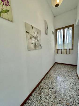 Foto Quadrilocale in affitto a Pietrasanta