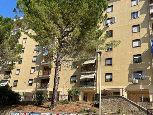 Foto Quadrilocale in vendita a Caltanissetta