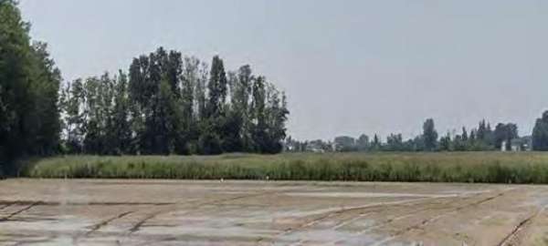 Foto R.G.E. 489/2022 Pavia