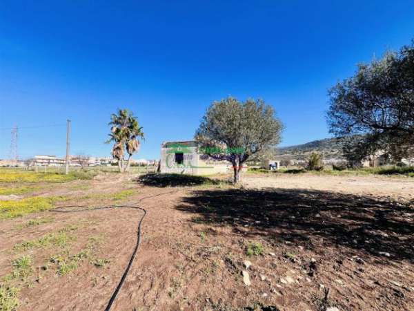Foto Rif: 2555 - Terreno agricolo con accatastamenti di 3.000 mq, Comiso