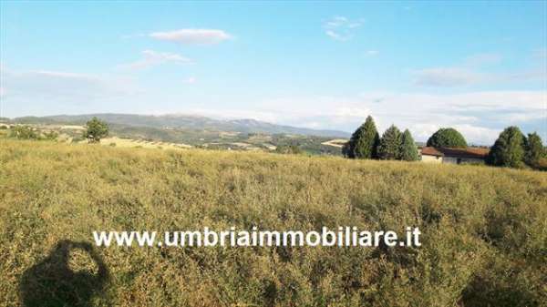 Foto Rif. 410b terreno edificabile a Todi