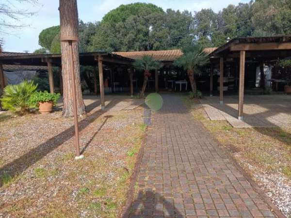 Foto Ristorante in vendita a Cecina