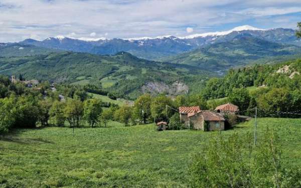 Foto RUSTICI CON TERRENO E BOSCO
