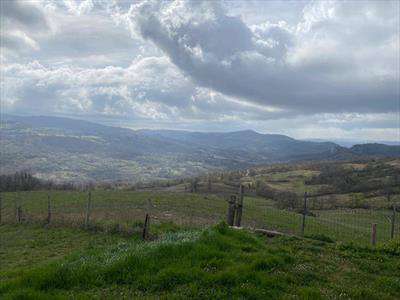 Foto Rustico casale in Vendita, pi� di 6 Locali, 3 Camere, 200 mq (RO