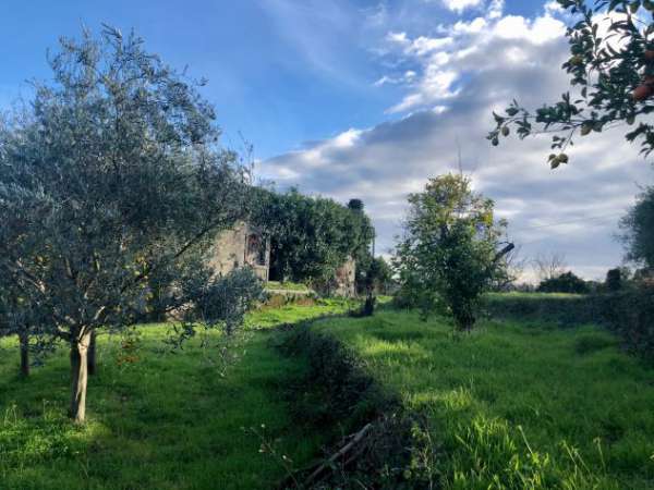 Foto Rustico con terreno 20.000 mq in vendita a Giarre