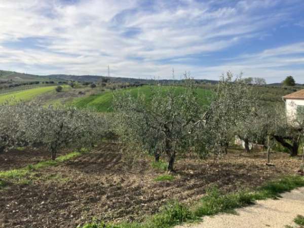 Foto Rustico con terreno a Uliveto a S. Salvo