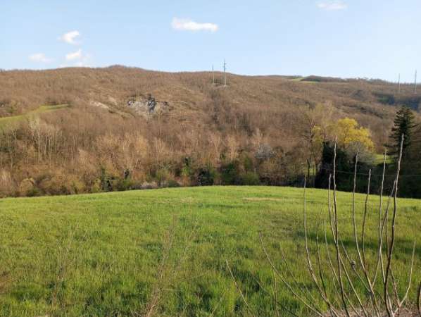 Foto rustico con terreno agricolo e boschivo