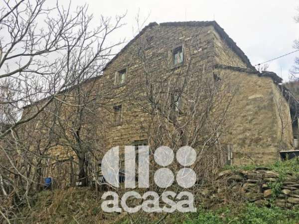 Foto RUSTICO DA RISTRUTTURARE PIU' TERRENI