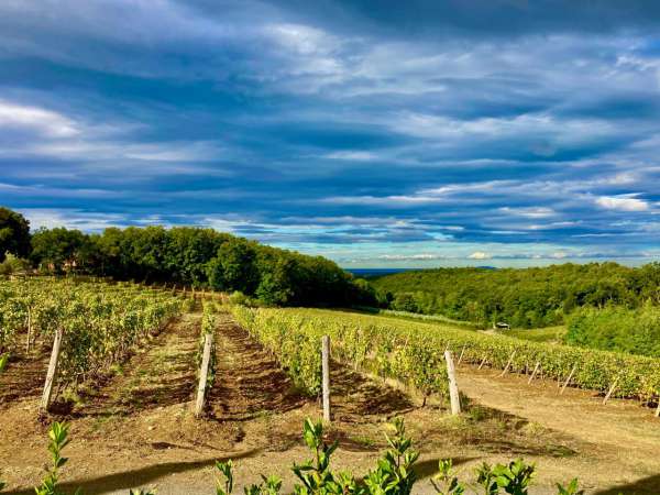 Foto Rustico in vendita a Cecina