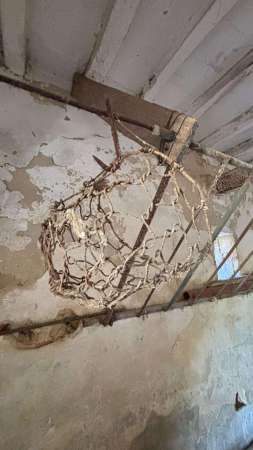 Foto Rustico in vendita a Fauglia