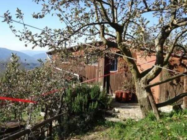 Foto Rustico in vendita a Fivizzano 8000 mq  Rif: 1177777