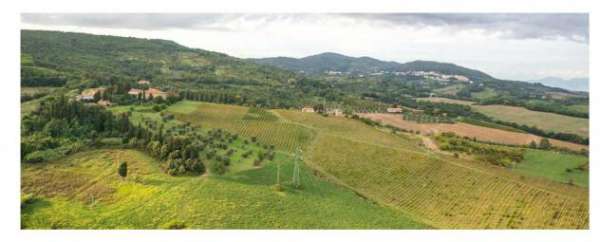 Foto Rustico in vendita a Gabbro - Rosignano Marittimo 7400 mq  Rif: 1269945