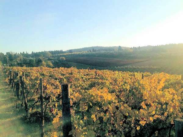 Foto Rustico in vendita a Grosseto