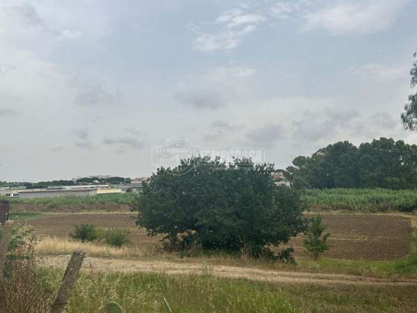 Foto Rustico in vendita a Ladispoli