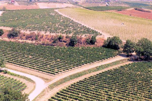 Foto Rustico in vendita a Montepulciano