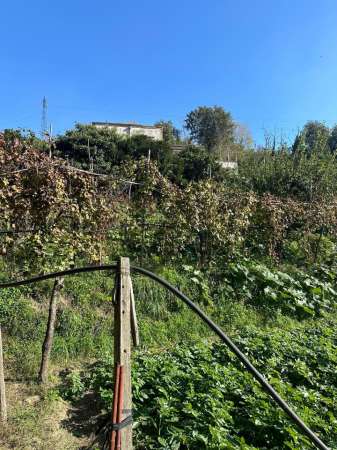 Foto Rustico in vendita a Napoli