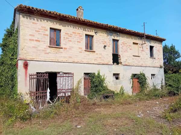 Foto Rustico in vendita a Osimo