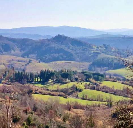 Foto Rustico in vendita a Palaia 900 mq  Rif: 1181409