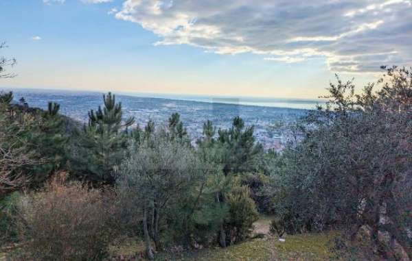 Foto Rustico in vendita a Pietrasanta