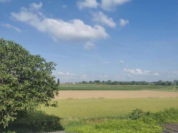 Foto Rustico in vendita a San Donato - Santa Maria a Monte 600 mq  Rif: 1049472