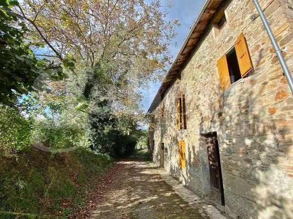 Foto Rustico in vendita a Savignano Sul Panaro