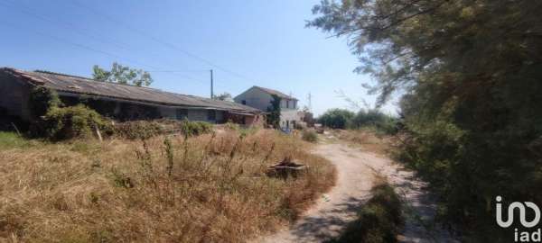 Foto Rustico in vendita a Treia