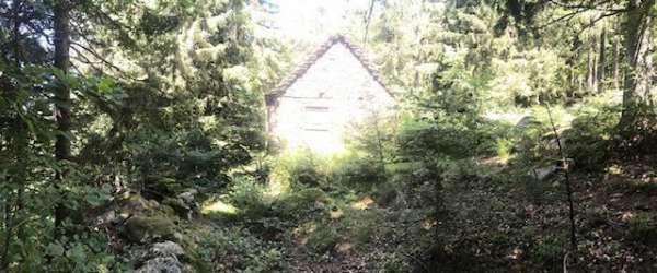 Foto Rustico in vendita a Varzo