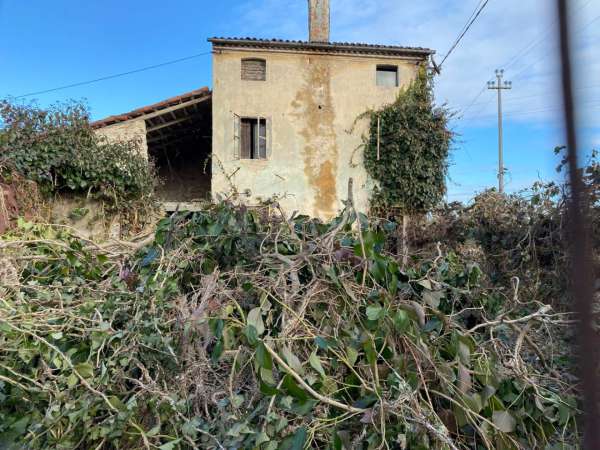 Foto Rustico in vendita a Villaga