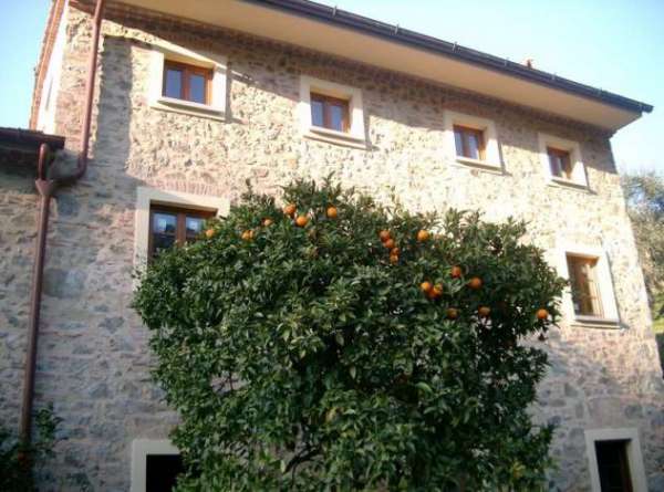 Foto rustico quiesa 1.9 - Rustico/Casale a Massarosa - Quiesa