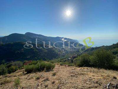 Foto Rustico/Casale in Vendita, 2 Locali, 50 mq, Ventimiglia