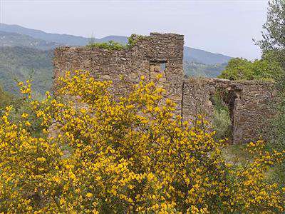 Foto Rustico/Casale in Vendita, 6 Locali, 150 mq, Camporosso