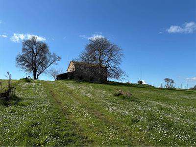 Foto Rustico/Casale in Vendita, pi� di 6 Locali, 480 mq, Vallefoglia