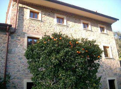 Foto Rustico/Casale in Vendita, pi� di 6 Locali, 620 mq, Massarosa (Q